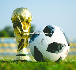 mk体育官网-水晶宫客场告捷力擒谢菲联 保级曙光初现前景明朗